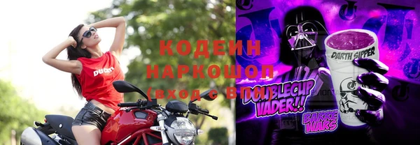 крисы Коряжма