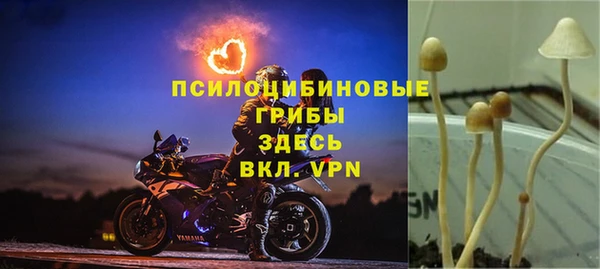 марки lsd Козловка