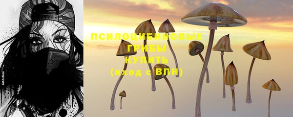 а пвп мука Козельск