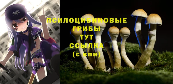 каннабис Кодинск