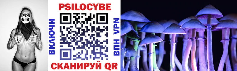 Купить закладки  Белебей  Псилоцибиновые грибы Cubensis 
